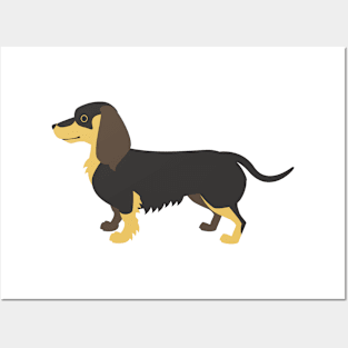 Dachshund Posters and Art